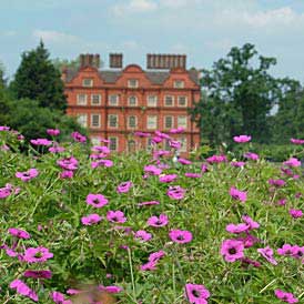 Veduta di Kew Palace e Giardini Botanici 